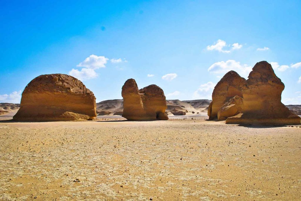 صخور وادي الحيتان