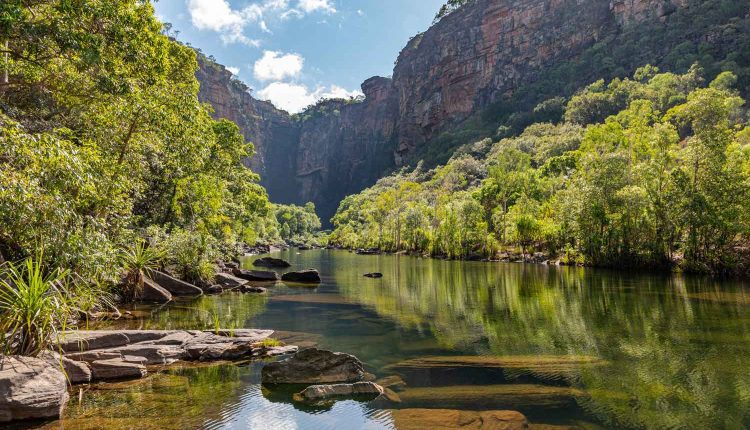 حديقة كاكادو Kakadu الوطنية، الإقليم الشمالي