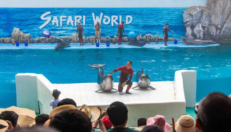 سفاري وورلد Safari World، بانكوك