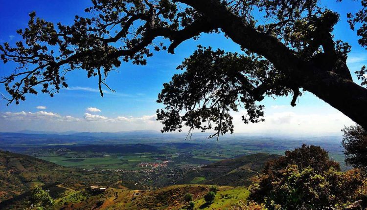 حديقة جرجرة الوطنية