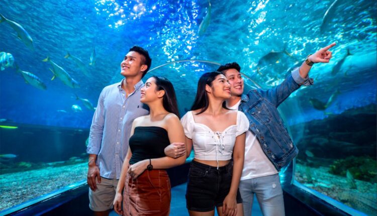 منتزه مانيلا أوشن