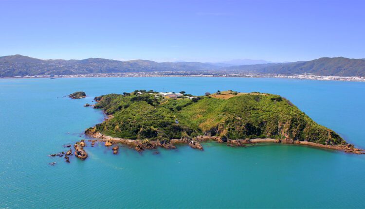 جزيرة ماتيو