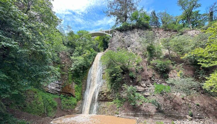 حديقة النباتات الوطنية في جورجيا