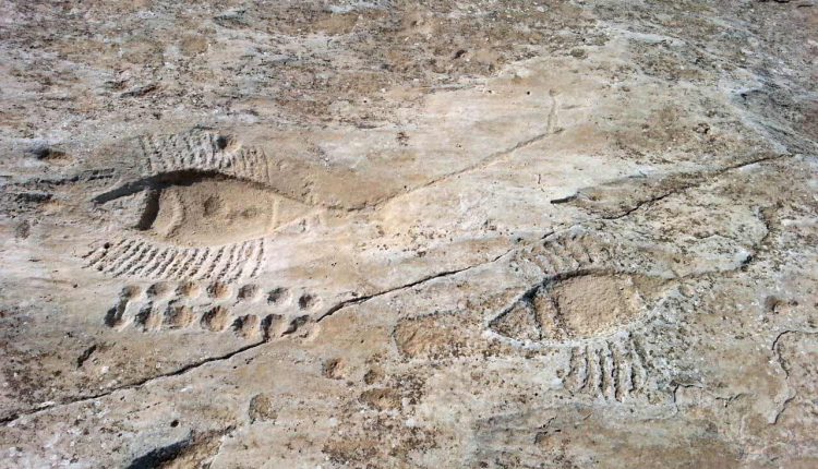 الفنون الصخرية في جبل الجساسية