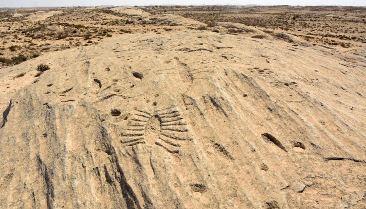 الفنون الصخرية في جبل الجساسية