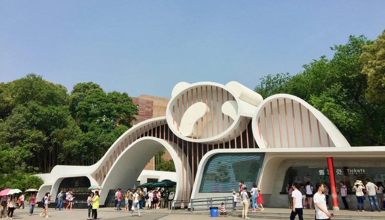 قاعدة تشنغدو لأبحاث تربية الباندا العملاقة