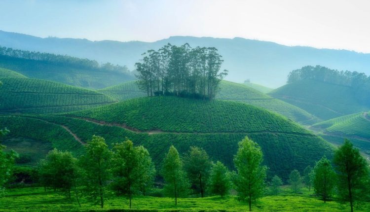 ولاية كيرالا، الهند