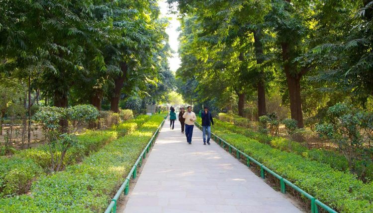 مسارات حديقة لودي