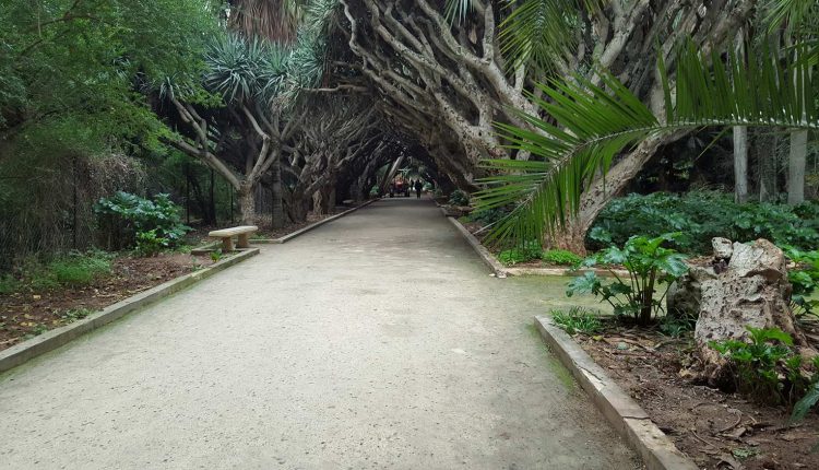 ممرات حديقة التجارب الحامة